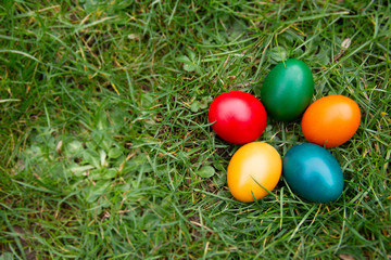 Easter colorful eggs in fresh green grass. Spring, easte holiday background with copy space.