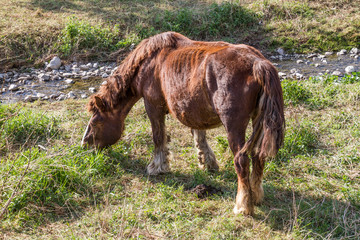 Natura e campagna della Lombardia