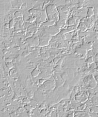 White rough abstract contrast texture gesso backgound