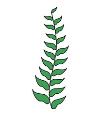 Fototapeta na wymiar green branch leaves