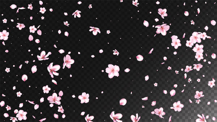 Nice Sakura Blossom Isolated Vector. Tender Blowing 3d Petals Wedding Texture. Japanese Gradient Flowers Wallpaper. Valentine, Mother's Day Pastel Nice Sakura Blossom Isolated on Black