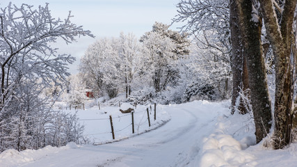 Fototapeta na wymiar Gravelled road in winter