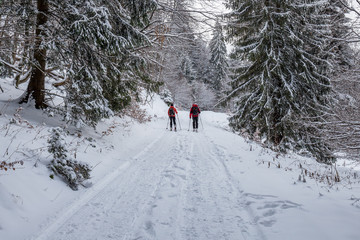 Couple skiing in the woods at Poiana Brasov, Transylvania, Romania