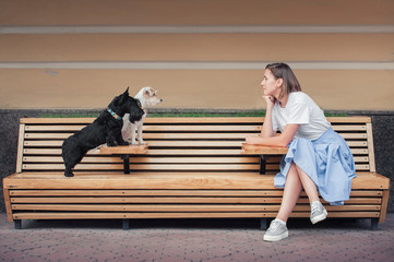 Girl sitting on long wooden banch in front of two small dogs and looking at them. Side view