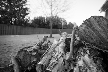 Firewood Stack