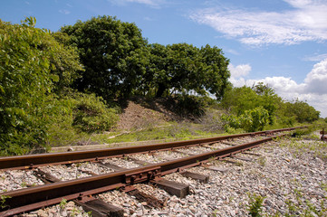 Obraz premium old railroad in the wild