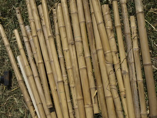 bamboo pieces on the grass