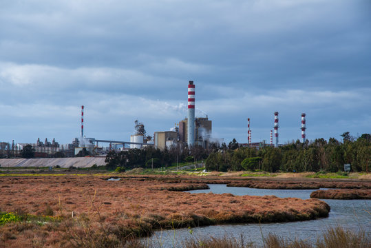 River Estuary Sado In Portugal