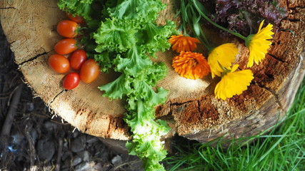 Obraz na płótnie Canvas Salad and flowers from the garden