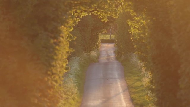 Country Lane at Sunset, Matlock, Derbyshire, England, UK, Europe 