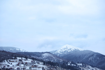 Winter landscape with mountain village near conifer forest