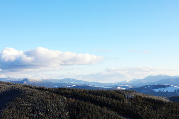 Beautiful mountain landscape with forest on sunny day in winter