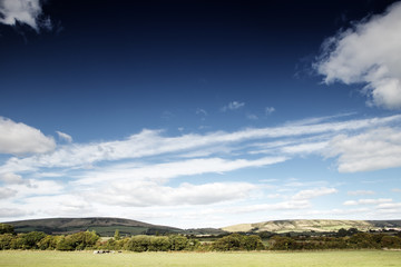 Stoborough Heath landscape image