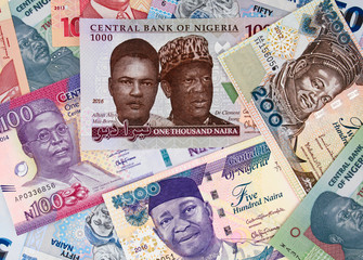 Various Nigeria naira. Nigerian money currency notes. Nigeria economy and investment..