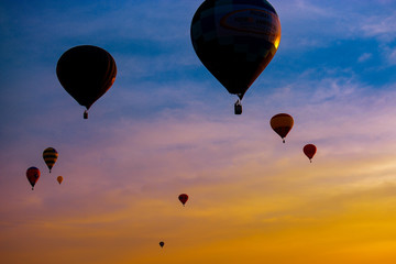 hot air balloons in the sky