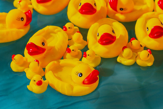 Many rubber yellow toy ducks floating in children's pool close up