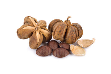 dried sacha inchi seed on white background