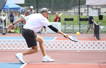 pickleball shot