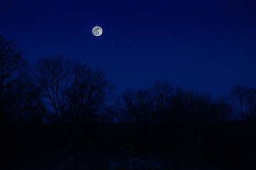 full moon landscape