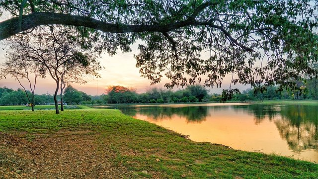 Park in the evening.