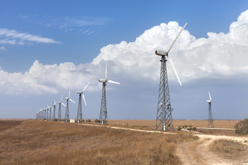 wind turbines in the field