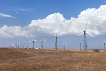 wind turbines in the field