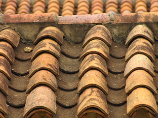 Roof Tile