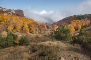 Autumn landscape in the mountains