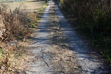 Rural countryside trail