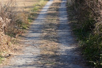 Rural countryside trail