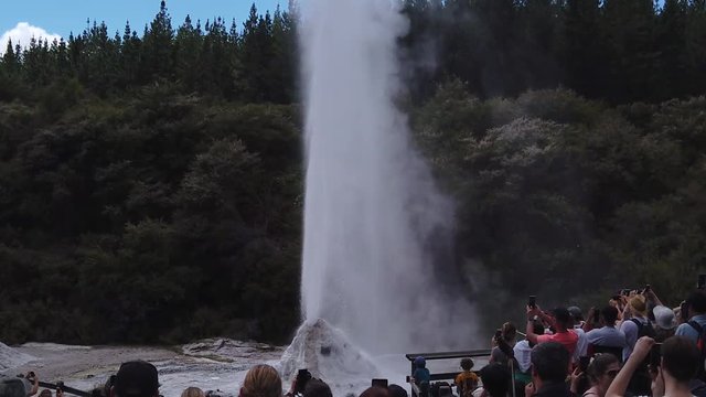 Lady knox erupts every day at 10:15 am and is a popular attraction in the geo thermal highway region.