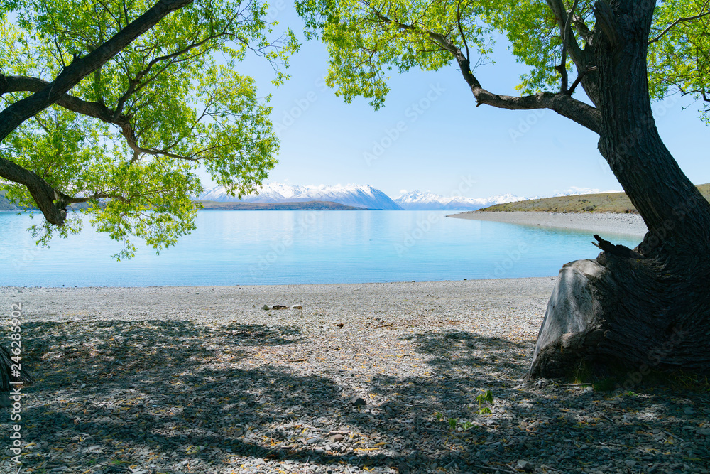 Sticker Lake Tekapo scenery