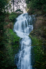 Munson creek falls near Tillamook Oregon