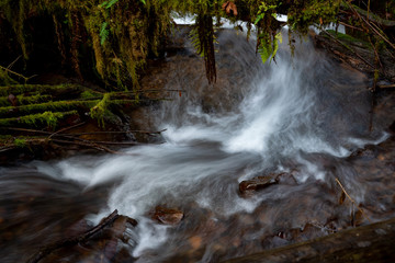 Munson Creek below Munson Creek Falls near Tillamook Oregon