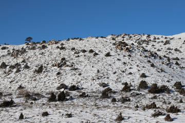 winter mountain landscape