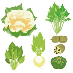 冬野菜 イラストセット1 -Winter vegetable illustration set1-