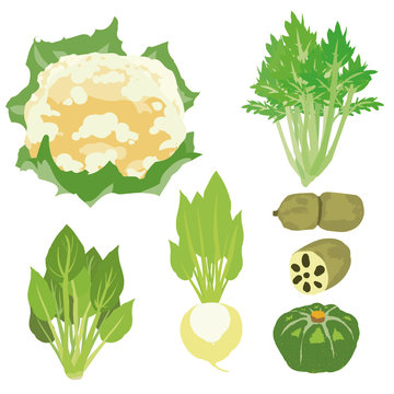 3 037 Best 冬野菜 Images Stock Photos Vectors Adobe Stock 3 037 Best 冬野菜 Images Stock Photos Vectors Adobe Stock
