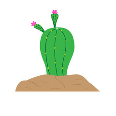 Isolated cute cactus image. Vector illustration design