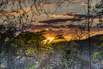 Sunset in the guayacanes forest