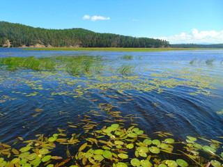 wind on the lake