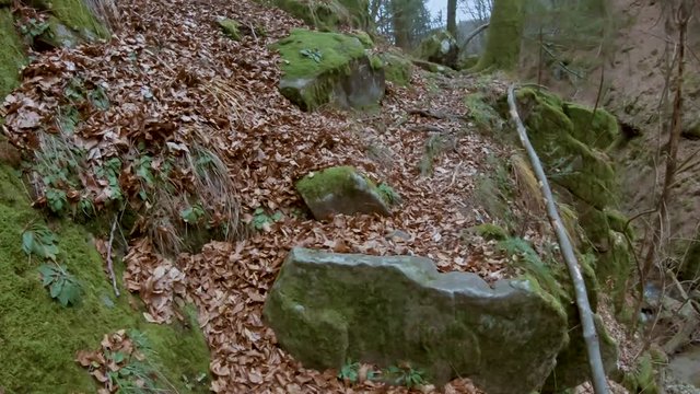 Walking carefully on a narrow path near a gully in Vintgar on a beautiful fall day. Bistriski Vintgar Slovenia. Moving camera