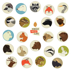 8746635 Forest Wildlife Animals Round frames