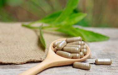herbal medicine in capsules for healthy eating with herb leaf, alternative supplement for good living lifestyle 