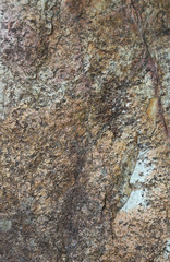 Closeup of surface of white and brown rough rock in the forest with sunlight. The natural art background and template. 