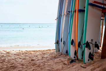 Various Surf Board on Sand Beach Ocean Background. Surfboard Rack for Rent at Hawaii Island Shore. Extreme Sri Lanka School for Summer Wave Adventure Lifestyle. Wanderlust Sport Vacation Scene