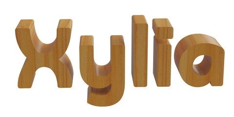 Fototapeta premium xylia in 3d name with wooden texture