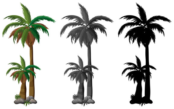 Set of palm tree