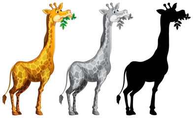 Set of giraffe character