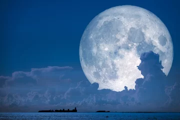 Zelfklevend Fotobehang Volle maan super snow moon back on night sky silhouette cloud on sea