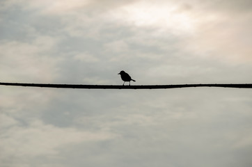 Dream Holiday Destinations